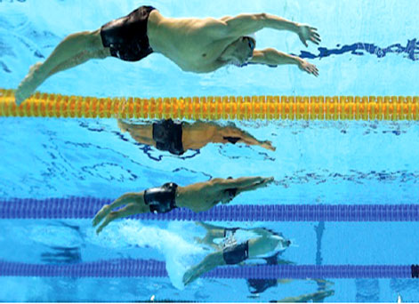 warriors sports swimming level6